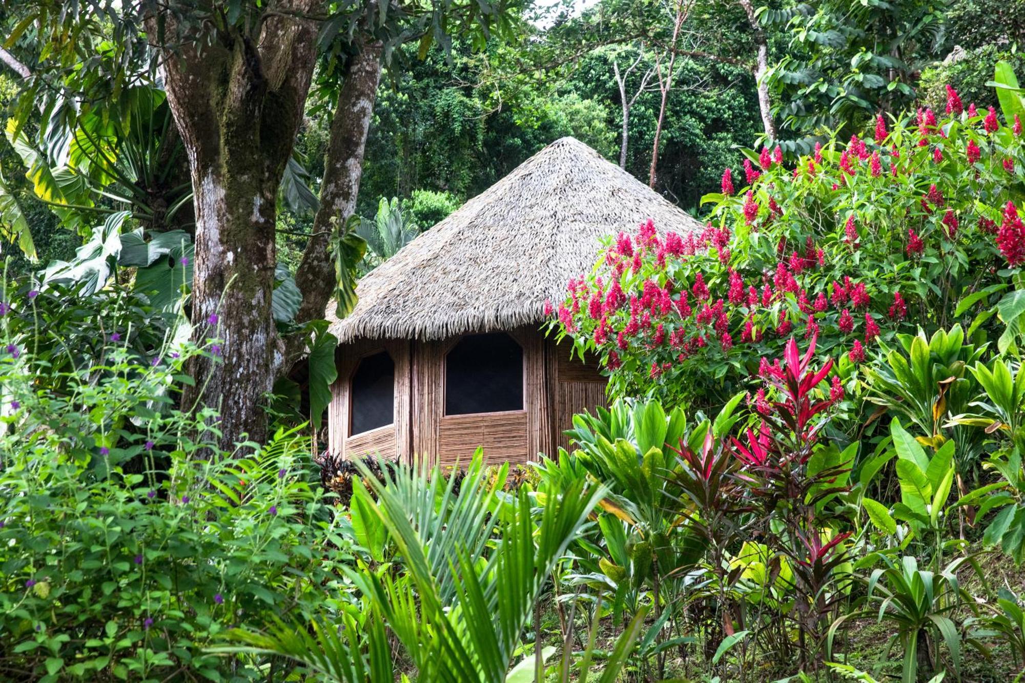 Luna Lodge Carate Luaran gambar