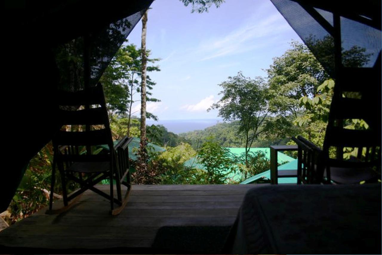 Luna Lodge Carate Bilik gambar