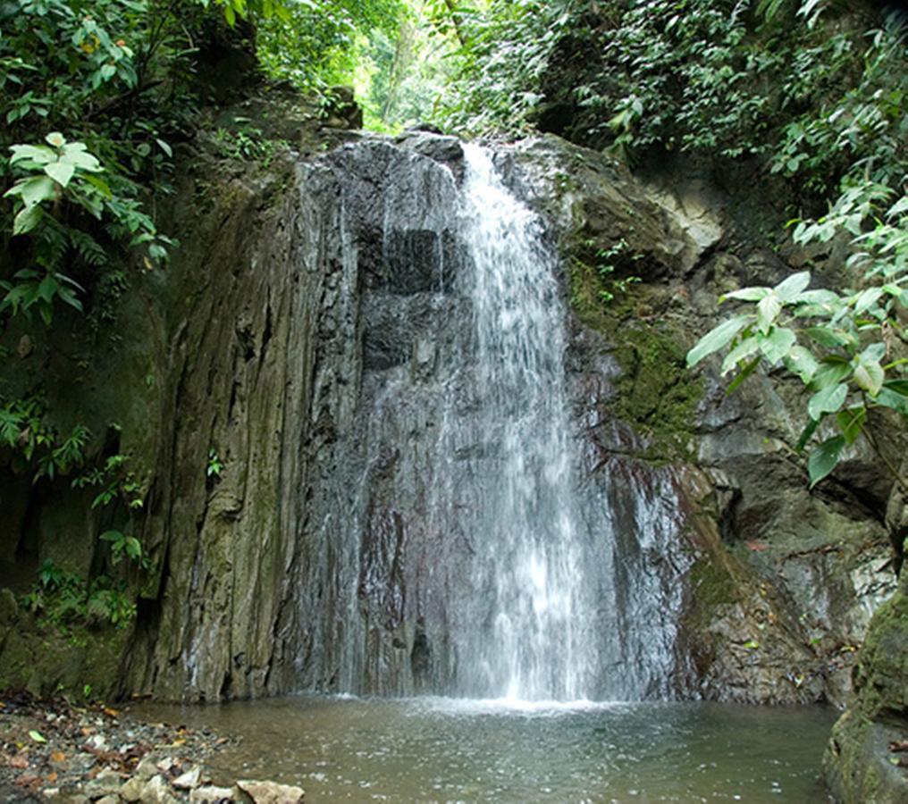Luna Lodge Carate Luaran gambar